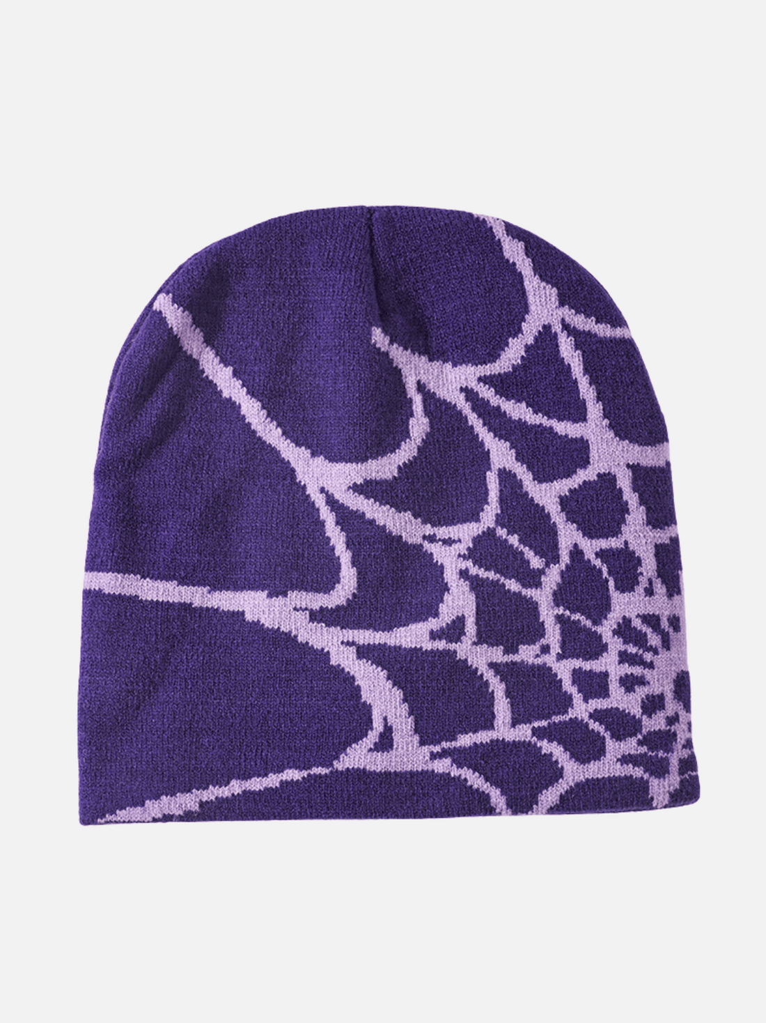 SPIDER - Graphic Beanie Purple One Size | TEENWEAR.EU