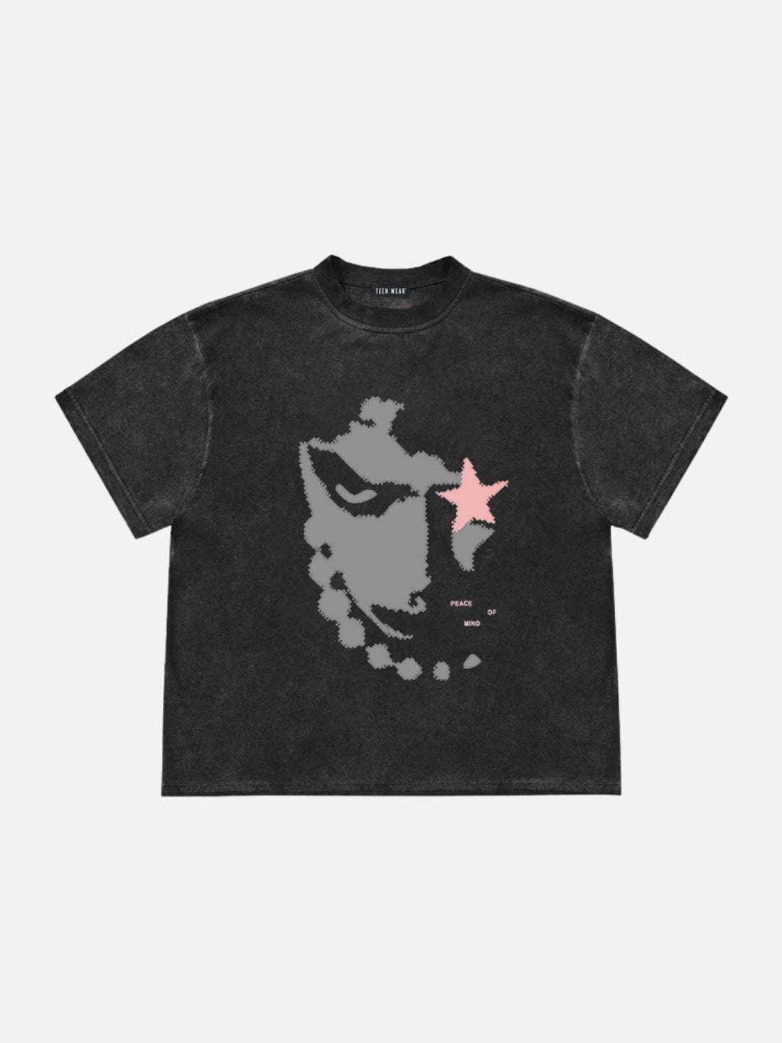 ANGRICO - Regular Print T-Shirt Washed Black | TEENWEAR.EU